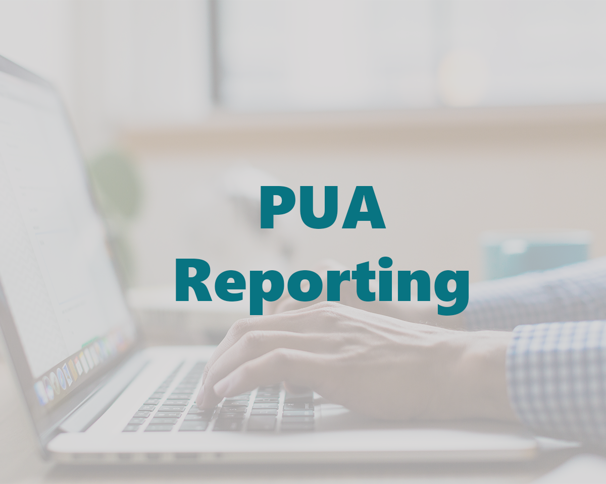 Image of hands typing with a title saying "PUA Reporting"